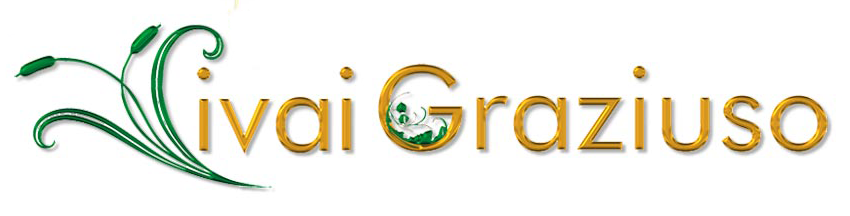 Logo Azienda Vivaio Graziuso Vivai Capaccio