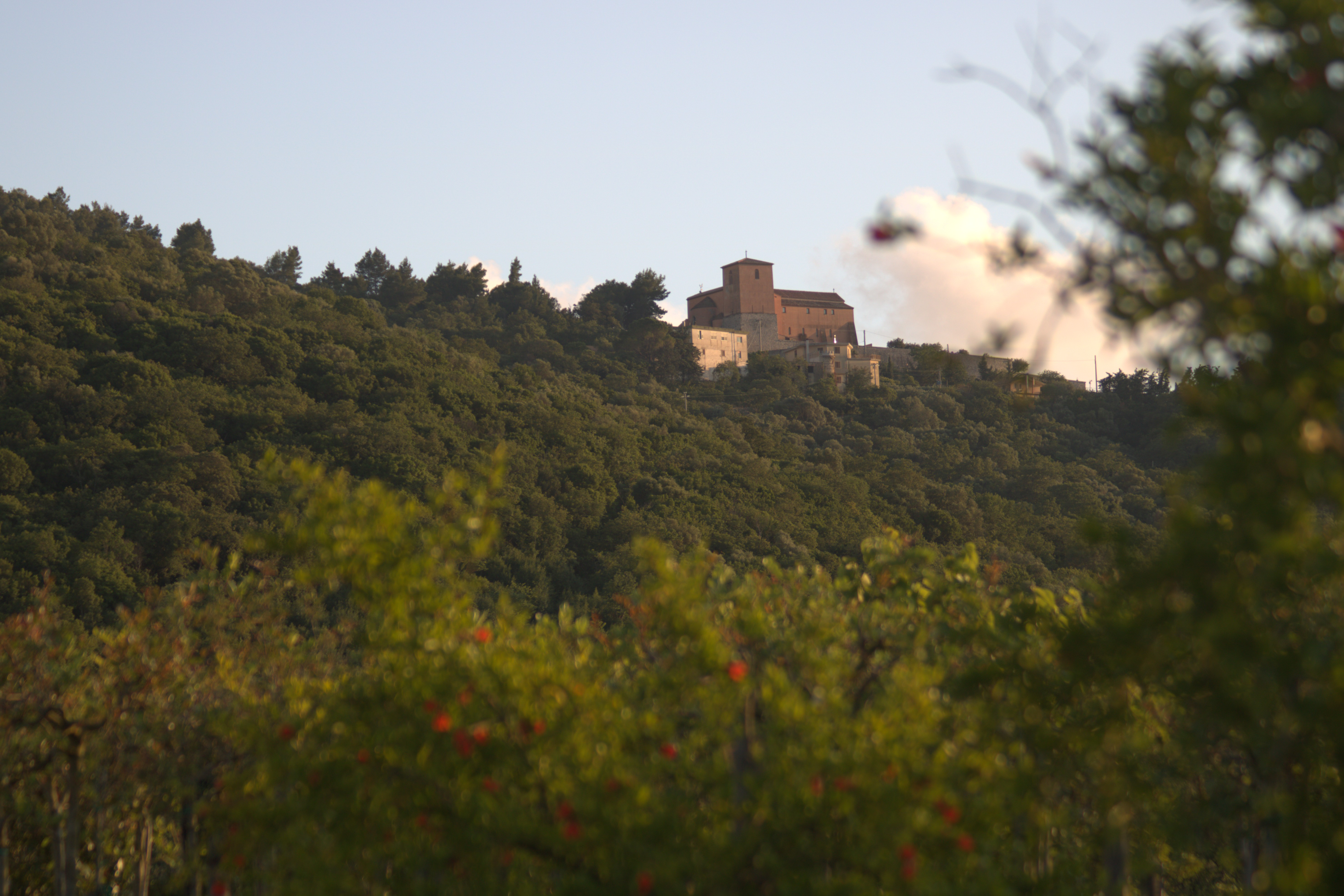 Carosello 4